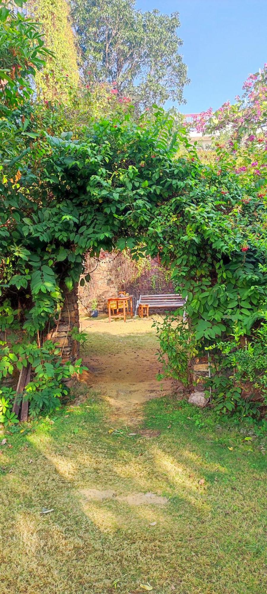 Bed and Breakfast The Secret Garden Puškar Exteriér fotografie