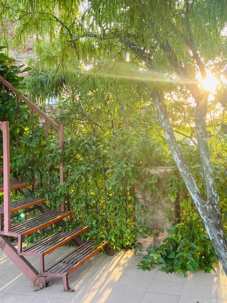 Bed and Breakfast The Secret Garden Puškar Exteriér fotografie